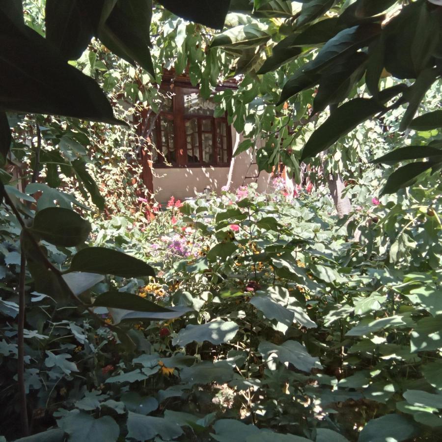 Lovely Home For You Osh Εξωτερικό φωτογραφία