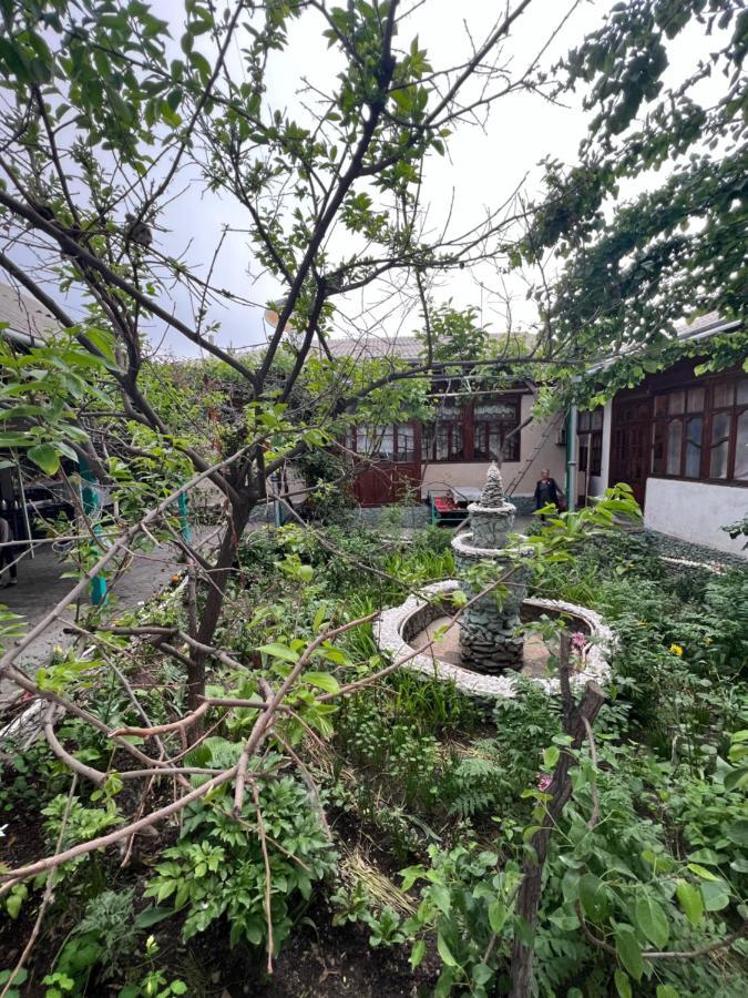 Lovely Home For You Osh Εξωτερικό φωτογραφία