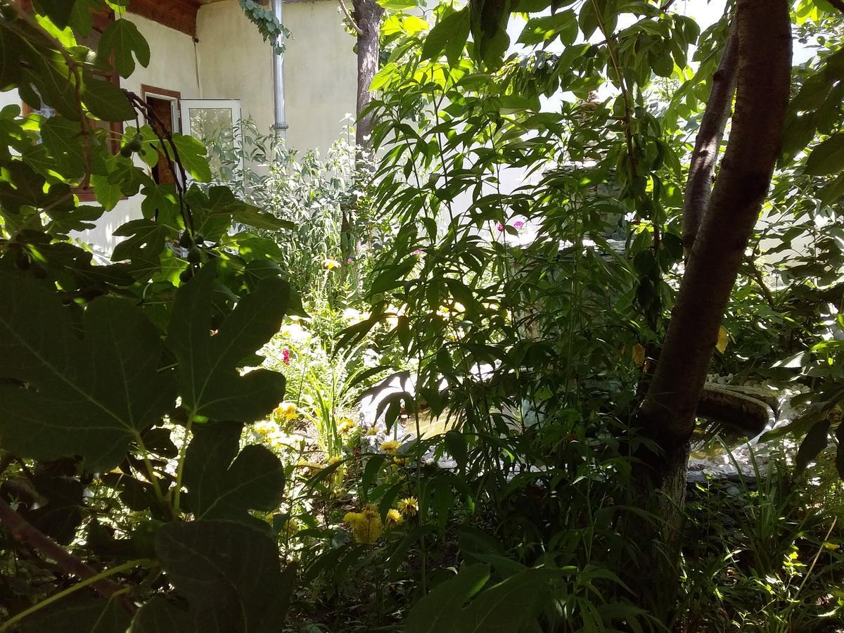 Lovely Home For You Osh Εξωτερικό φωτογραφία